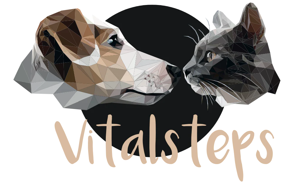 Logo VitalSteps